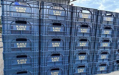 "Fenerbahçeli Çiftçiden Sıradışı Aşk: N'Golo Kante İsimli Domatesler!"